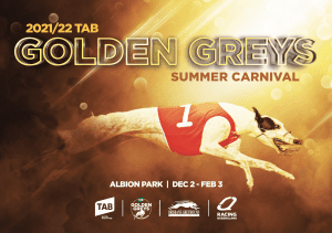 Queensland Golden Greys Summer greyhound racing carnival starts tonight