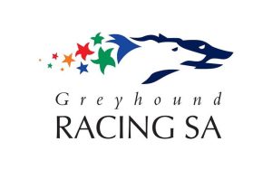 GRSA greyhound news