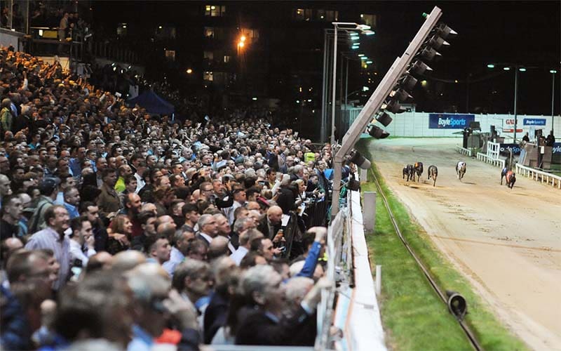 Shelbourne Park greyhound racing will return on January 15 2022