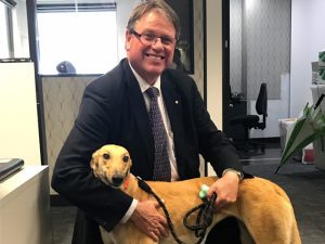 Greyhound Racing Victoria (GRV) CEO Alan Clayton resigns