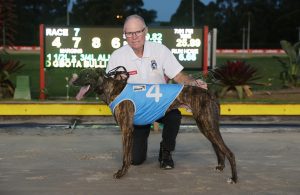 Majestic Legend favoured by Wollondilly Gift final box draw at Goulburn