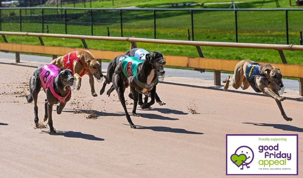 greyhound racing prize money