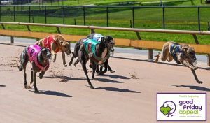 Victorian greyhounds to race for the kids this Good Friday