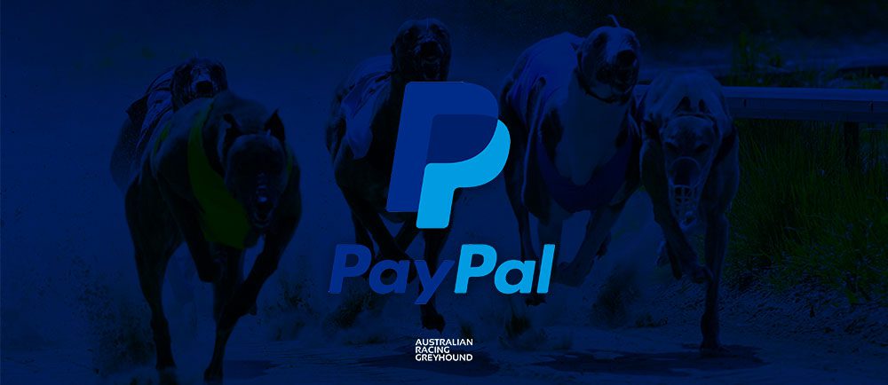 Paypal Greyhound Bettting