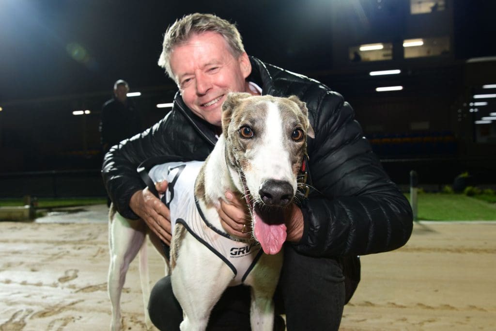 Ferdinand Boy and handler Jeff Geall