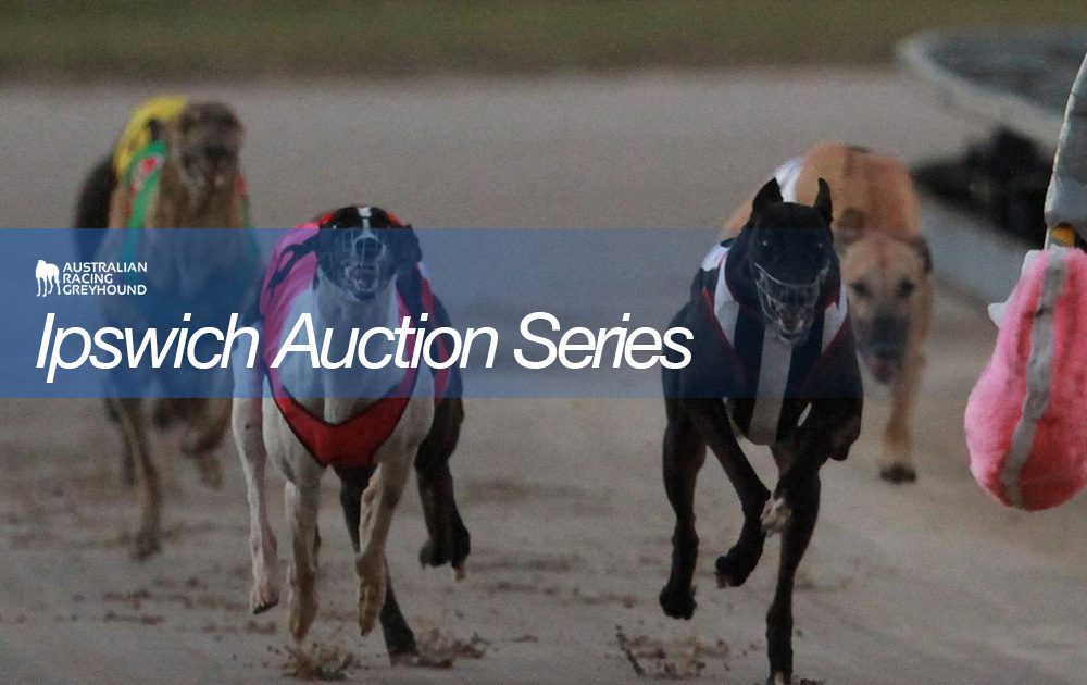 Ipswich Auction Series betting