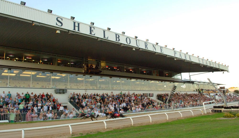 Shelbourne Park Greyhound Stadium