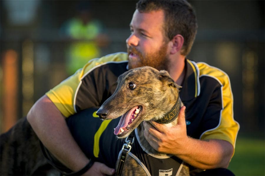 Tim Mullany greyhound news