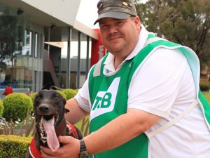 Victorian trainers frustrated with Greyhound Racing stewards