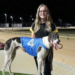Tayla Rollings greyhound racing news