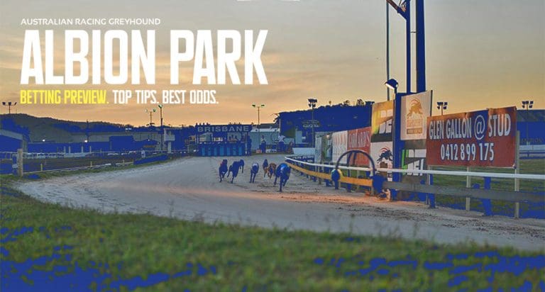 Albion Park Greyhound Tips & Racing Preview | Thursday, 11/4/24
