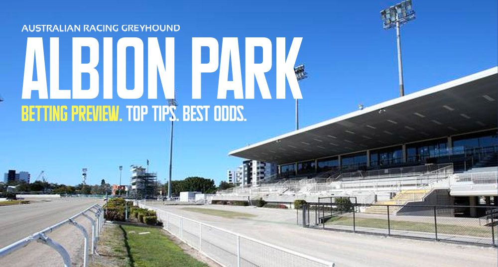 Albion Park betting tips