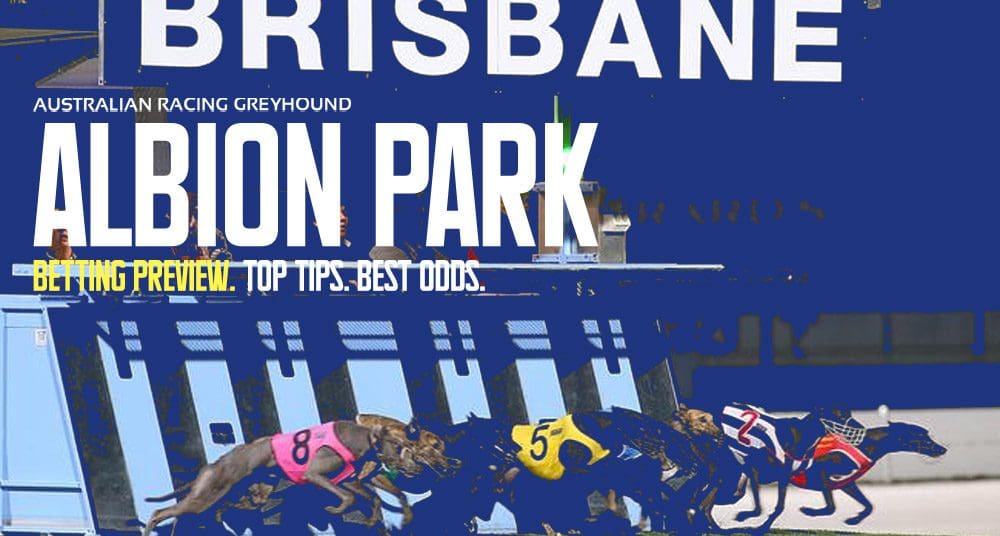 Albion Park Greyhound Preview & Racing Tips | March 24, 2024