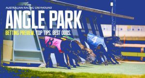 Angle Park greyhound tips