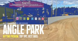 Angle Park greyhound racing tips tonight Monday October 31 2022