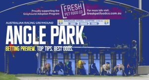 Tonight's free Angle Park greyhound tips 25/4/2024