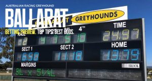 Ballarat greyhound tips Melbourne Cup Night Tuesday November 1 2022