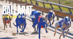 Today's Ballarat greyhound tips Monday April, 22, 2024