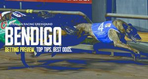 Bendigo Greyhound Tips - March 22