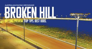 Broken Hill Greyhound Tips - March 24