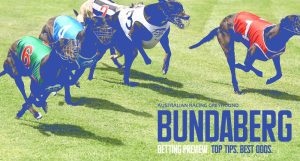 Bundaberg greyhound racing tips Monday April 29 2024