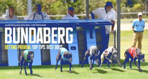 Bundaberg greyhound tips and best bets 22/4/2024