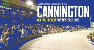 Cannington Greyhound Tips - April 3