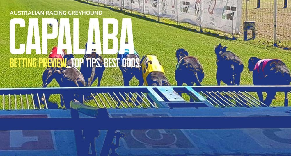 Capalaba greyhound tips