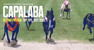 Capalaba greyhound racing tips | Thursday, April 18