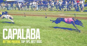 Today's Capalaba Greyhound Tips Sunday, April 21, 2024