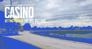 Casino greyhound racing free tips Thursday November 10 2022