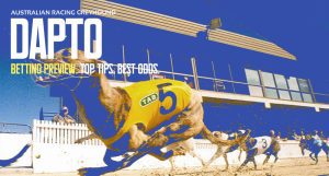 Dapto greyhound racing tips