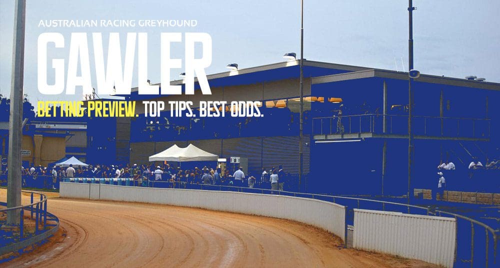 Gawler Greyhound Tips 16/6/2024: Produce Stakes Semi Finals Day