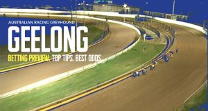 Geelong greyhound tips and best bets Friday November 18 2022