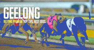 Geelong greyhound racing tips | Monday, March 25, 2024