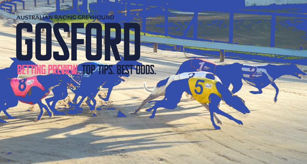 Gosford greyhound racing tips
