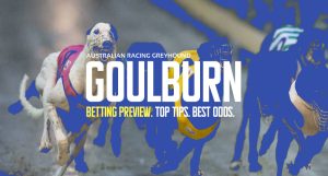 Goulburn greyhound racing tips and best bets April 19, 2024