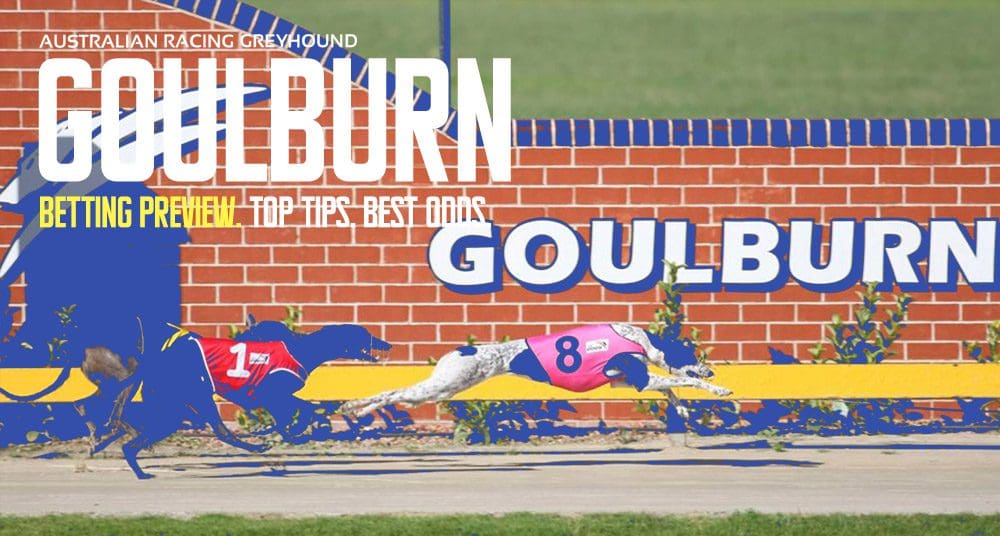 Goulburn Greyhound Tips: Expert Picks For Goulburn Cup Final Day