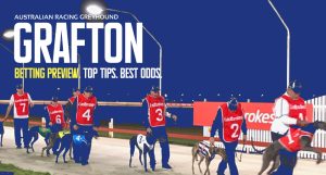 Free Grafton greyhound racing tips Tuesday October 18 2022