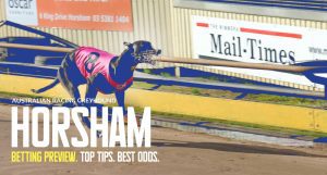 Horsham greyhound racing tips and best bets Tuesday October 18 2022