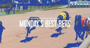 Greyhound racing tips and best bets Monday October 10 2022