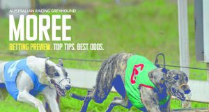 Moree greyhound racing tips: Expert picks for Easter Saturday, March 30th, 2024