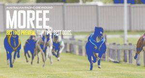 Moree Greyhound Tips - March 23