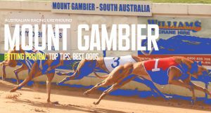 Mt Gambier Greyhound Tips