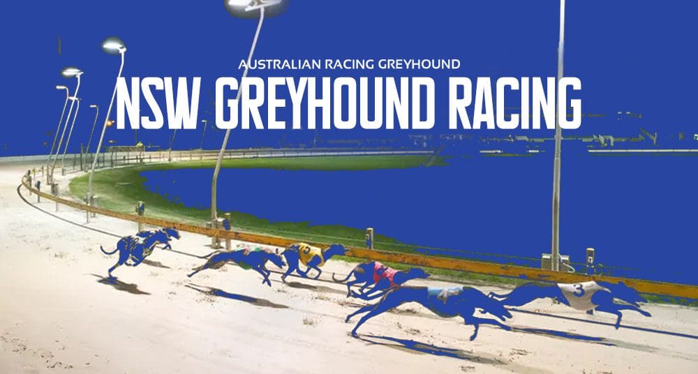 Two Queensland greyhound trainers suspended pending inquiry over race  fixing charges