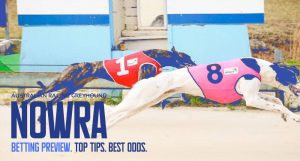 Tonight's free Nowra greyhound racing tips Monday October 17 2022