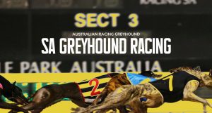 Angle Park's SA Match Race Challenge box draw & head to head greyhound races named