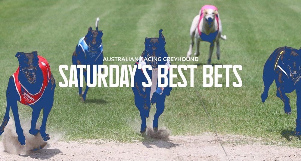 Kevin Pitstock Greyhound Racing  Australian Greyhound Racing News & Betting