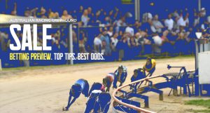 Sale greyhound free greyhound racing tips Melbourne Cup Night Tues November 1 2022