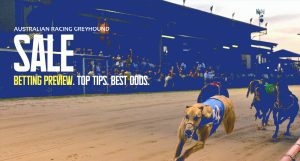 Best bets and greyhound tips Sale greyhounds Sunday October 16 2022